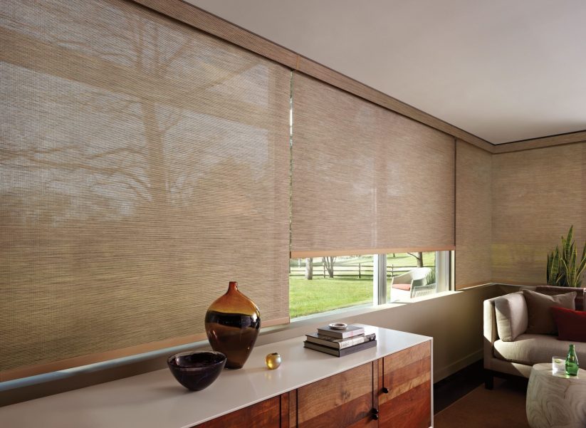 2016_DSS_PV_IndianBasket_LivingRoom_NoGateway_New-scaled-qumqldosbuvu0ie3y76hjkd40dydqcera9avr0hc1m